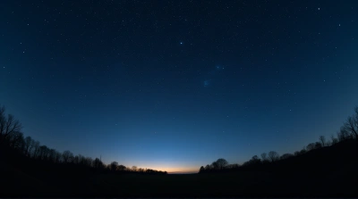Silhouetted Trees Under Clear Starry Sky Horizon