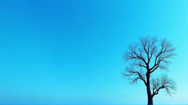 Silhouetted Twisting Tree Limbs Under Expansive Sky