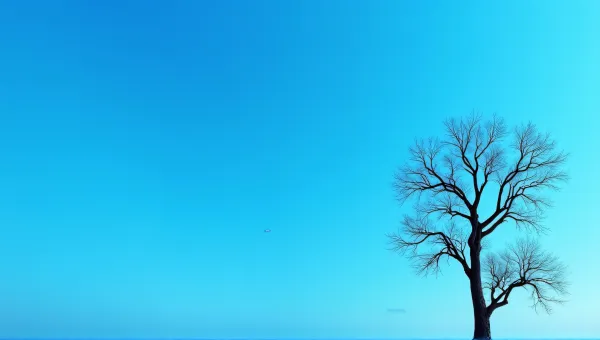 Silhouetted Twisting Tree Limbs Under Expansive Sky