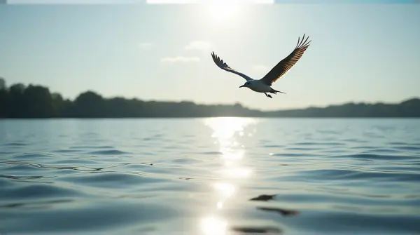 Single Bird Gliding Over Reflective Lake Surface
