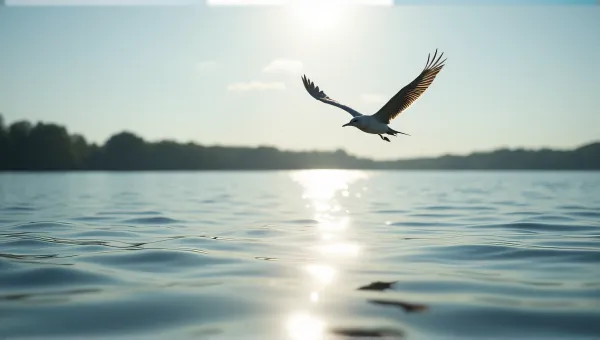 Single Bird Gliding Over Reflective Lake Surface