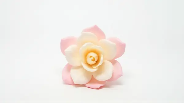 Single Pale Blush Bloom On Clean White Surface