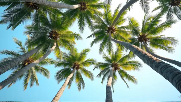 Slender Coconut Palms Cluster Against Bright Sky