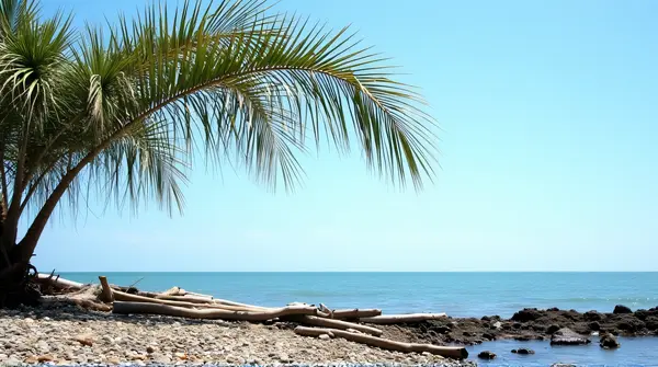 Slender Fronds Arching Over Pebble Coastline