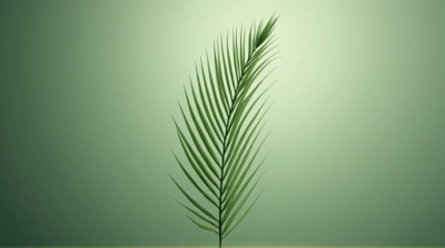 Slender Leaf With Parallel Lines Pattern