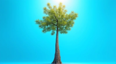 Slender Tree With Textured Bark And Sunlit Leaves