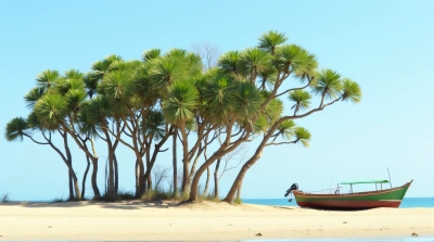 Slender Trees With Fan Leaves Beside Small Vessel