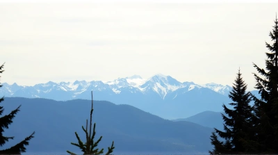 Snow-Covered Peaks With Conifer Trees Horizon