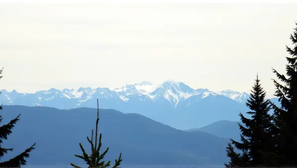 Snow-Covered Peaks With Conifer Trees Horizon