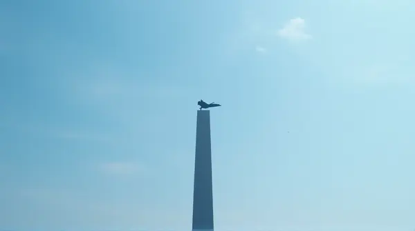 Dark outline of a soaring creature against blue and white sky above a tall gray structure
