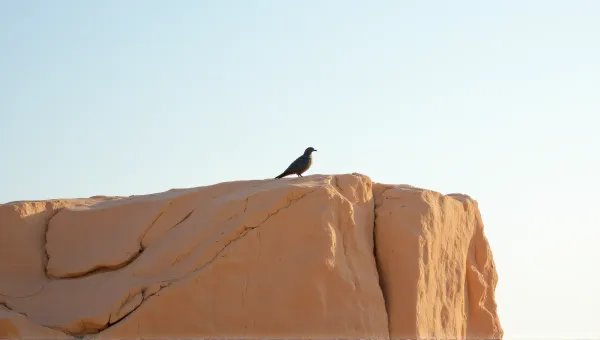 Solitary Bird Resting On Earth-Toned Cliff Under Clear Sky