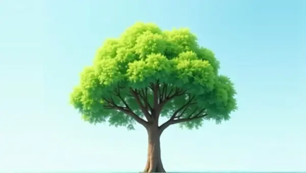 Solitary Broadleaf Tree With Emerald Leaves Sky