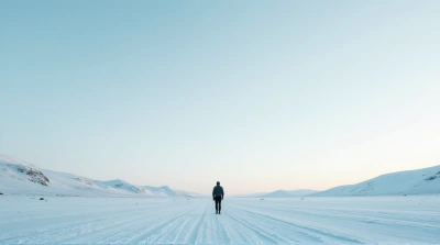 Solitary Man On Frosted Field Under Clear Sky