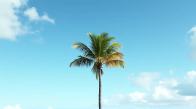Solitary Palm Tree Against Cloudy Sky