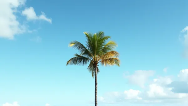 Solitary Palm Tree Against Cloudy Sky
