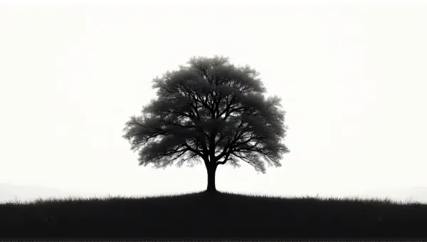 Solitary Tree Silhouette Against Bright Sky