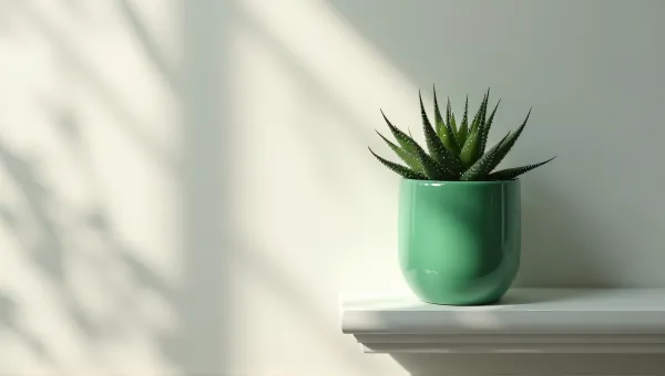 Spiky Succulent In Emerald Pot On Wall Ledge