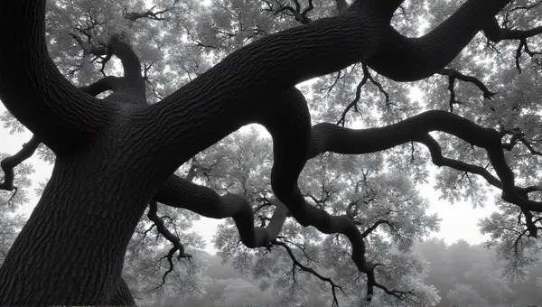 Sprawling Oak Tree Monochrome Close-Up Detail