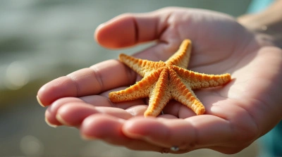 Starfish On Human Palm Close-Up Detail