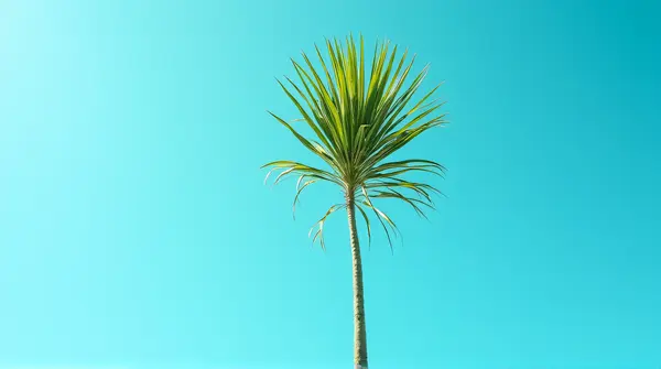 A single palm frond illuminated by sunlight stands out against a clear blue sky with shadow patterns.