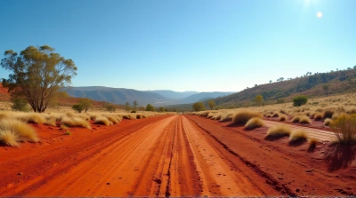 Sunlit Red Soil Hills With Eucalyptus Trees