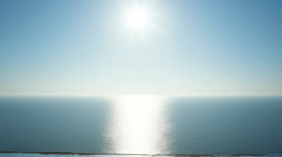 Sunlit Reflective Water Surface At Shoreline