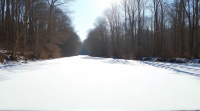 Sunlit Snowy Plain Near Bare Woodland Trees