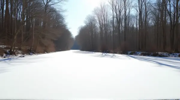 Sunlit Snowy Plain Near Bare Woodland Trees