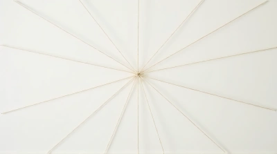Symmetrical Radiating Slender Cords On Plain Backdrop