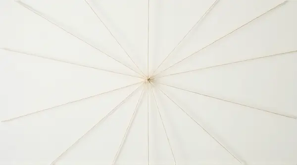 Six evenly spaced slender cords radiate symmetrically from a central point against a plain background.