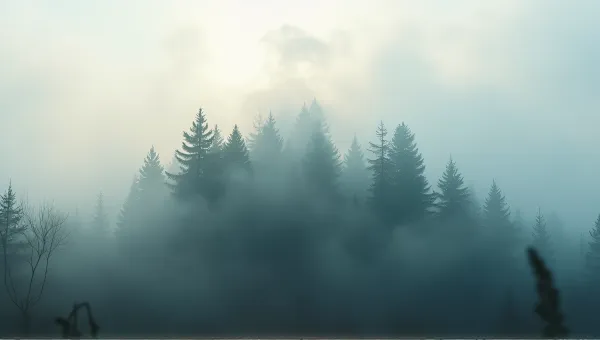 Tall Evergreen Trees in Diffused Light Fog