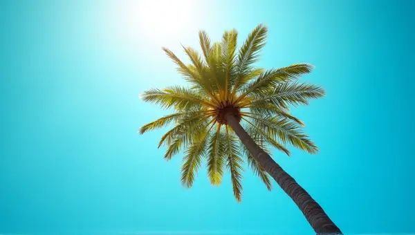 Tall Palm Tree With Vibrant Fronds Against Sky