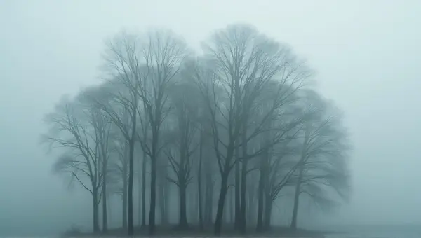 Tall Trees Amid Swirling Vapor Gray Atmosphere