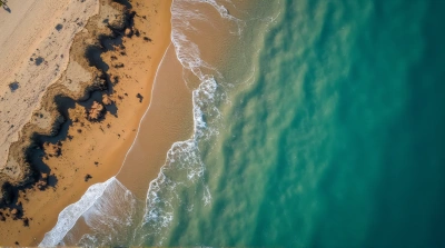 Textured Shoreline Patterns Meeting Calm Water Surface
