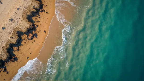 Textured Shoreline Patterns Meeting Calm Water Surface