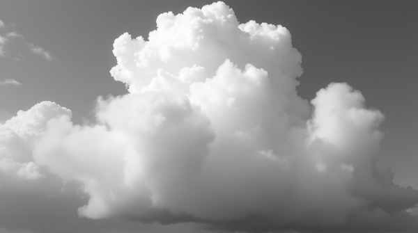Monochrome image of thick vapor plume billowing upward with soft gradients and textured wisps.
