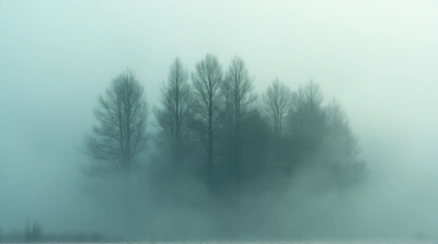 Towering Trees Surrounded By Swirling Vapor