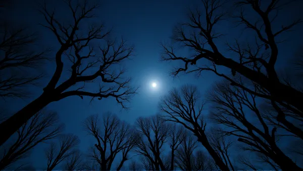 Twisting Leafless Trees Under Indigo Sky