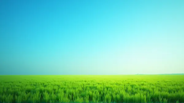 Vibrant Emerald Turf With Clear Sky Panorama