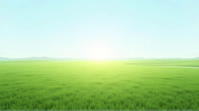 Vibrant Emerald Turf Under Soft Sunlight Sky