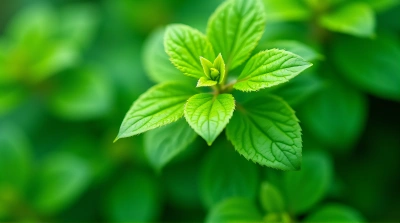 Vibrant Foliage Cluster Close-Up Detail