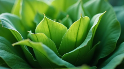 Vibrant Foliage Macro Showing Intricate Patterns