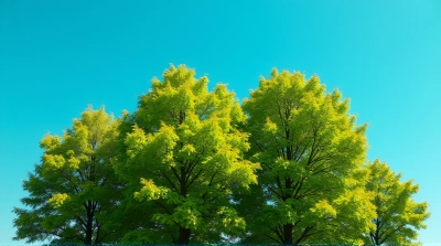 Vibrant Foliage Trees Against Clear Blue Sky