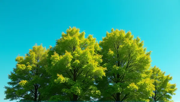 Vibrant Foliage Trees Against Clear Blue Sky