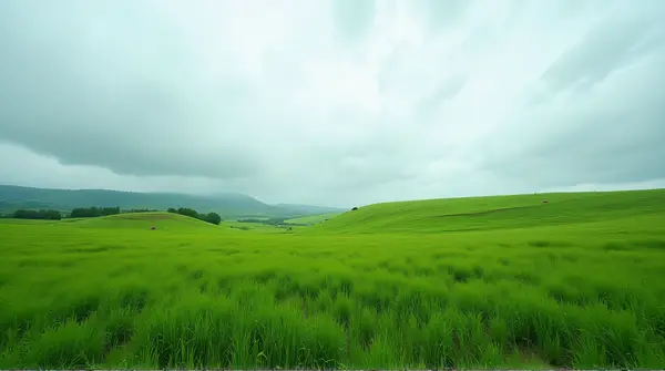 Vibrant Meadow Landscape With Overcast Sky