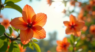 Vibrant Tangerine Flowers With Green Foliage