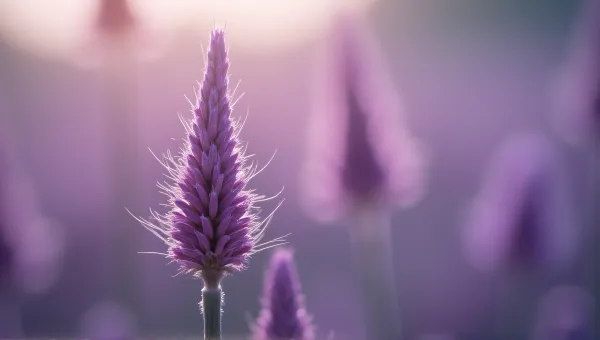 Violet Spikes Texture Macro Close-Up