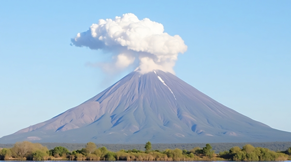 Large brown and gray volcano erupting white vapor with clear blue sky and sparse plants in foreground.
