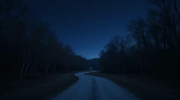 A winding gray path stretches through silhouetted trees beneath a deep indigo sky at dusk.