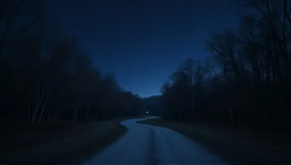 Winding Gray Path Through Silhouetted Trees At Dusk